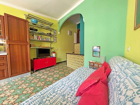 Top performing Airbnb: Diara, the colorful house with a terrace in Vernazza