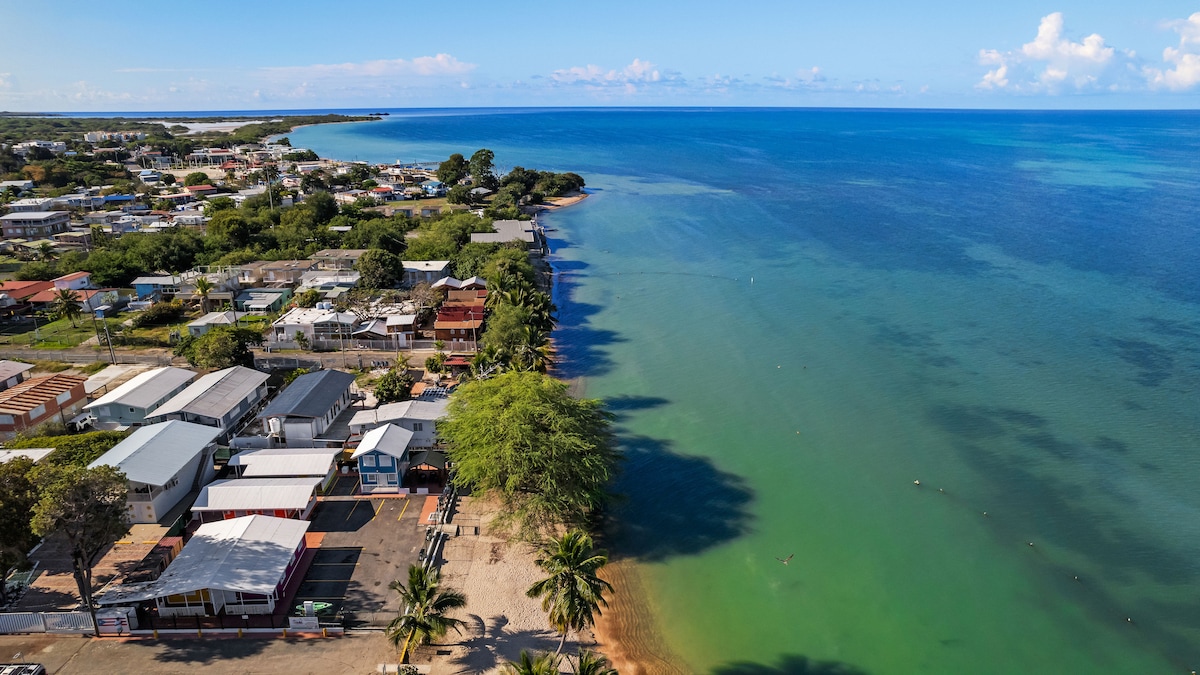 An aerial view showcases a serene beachfront along a clear turquoise sea. The shoreline is lined with palm trees and small structures, revealing a blend of local homes and businesses. Gentle waves lap against the sandy beach, indicating a calm environment suitable for relaxation.