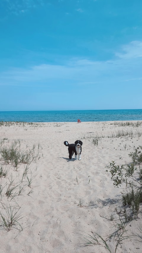 LakeHuron Retreat•Sandy Private Beach•Pet Friendly