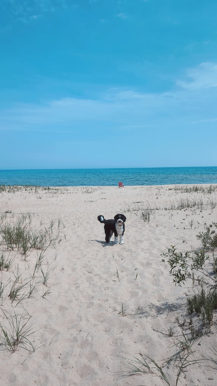 Cottage in East Tawas · ★4.62 · 3 bedrooms · 5 beds · 3 baths