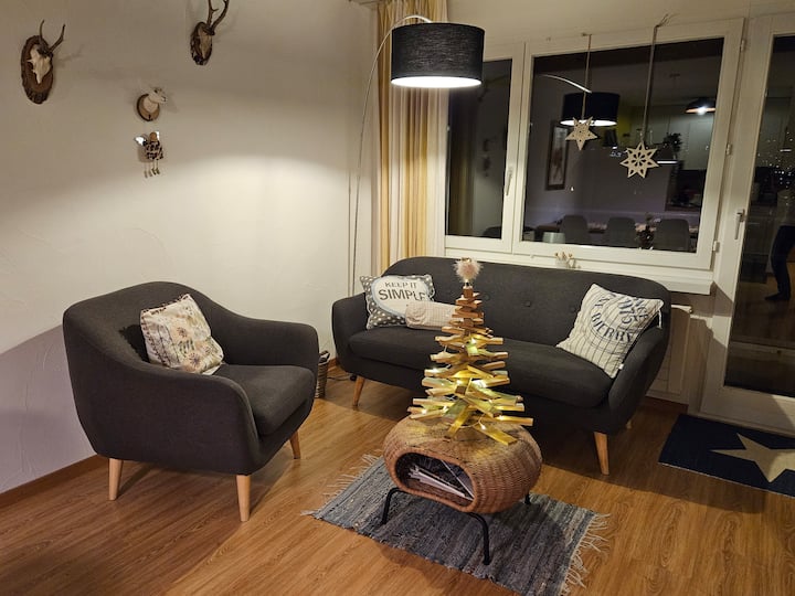 Grosszügige, Gemütliche 4-zimmer Dach-maisonette - Disentis