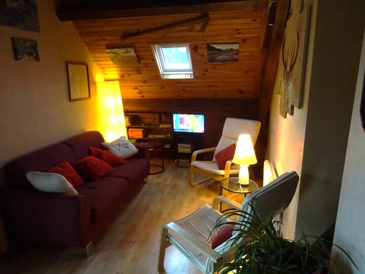 Appartement Dans Chalet Dominant La  Vallée D Aure - Arreau