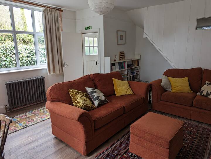Living room with comfy sofas