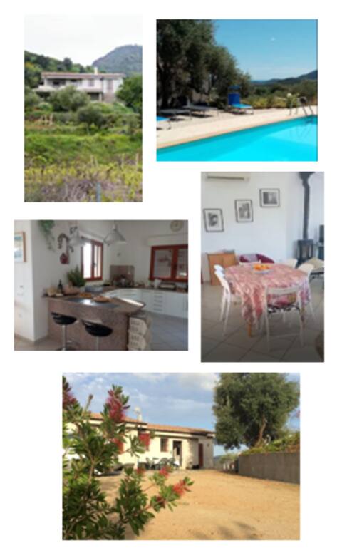 Residence Pelau, Espace 1, prox. Cardedu, F4
