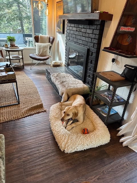 A cozy living area features a gas-burning fireplace surrounded by dark brick. A fluffy dog bed is situated on a warm wood floor, with a golden retriever resting on it, and a colorful ball lies nearby. Natural light streams through large windows, illuminating the space.