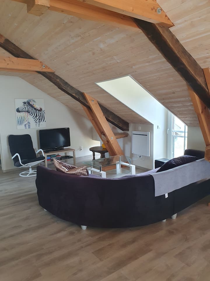 Appartement A La Campagne Avec Piscine - Villefranche-de-Panat