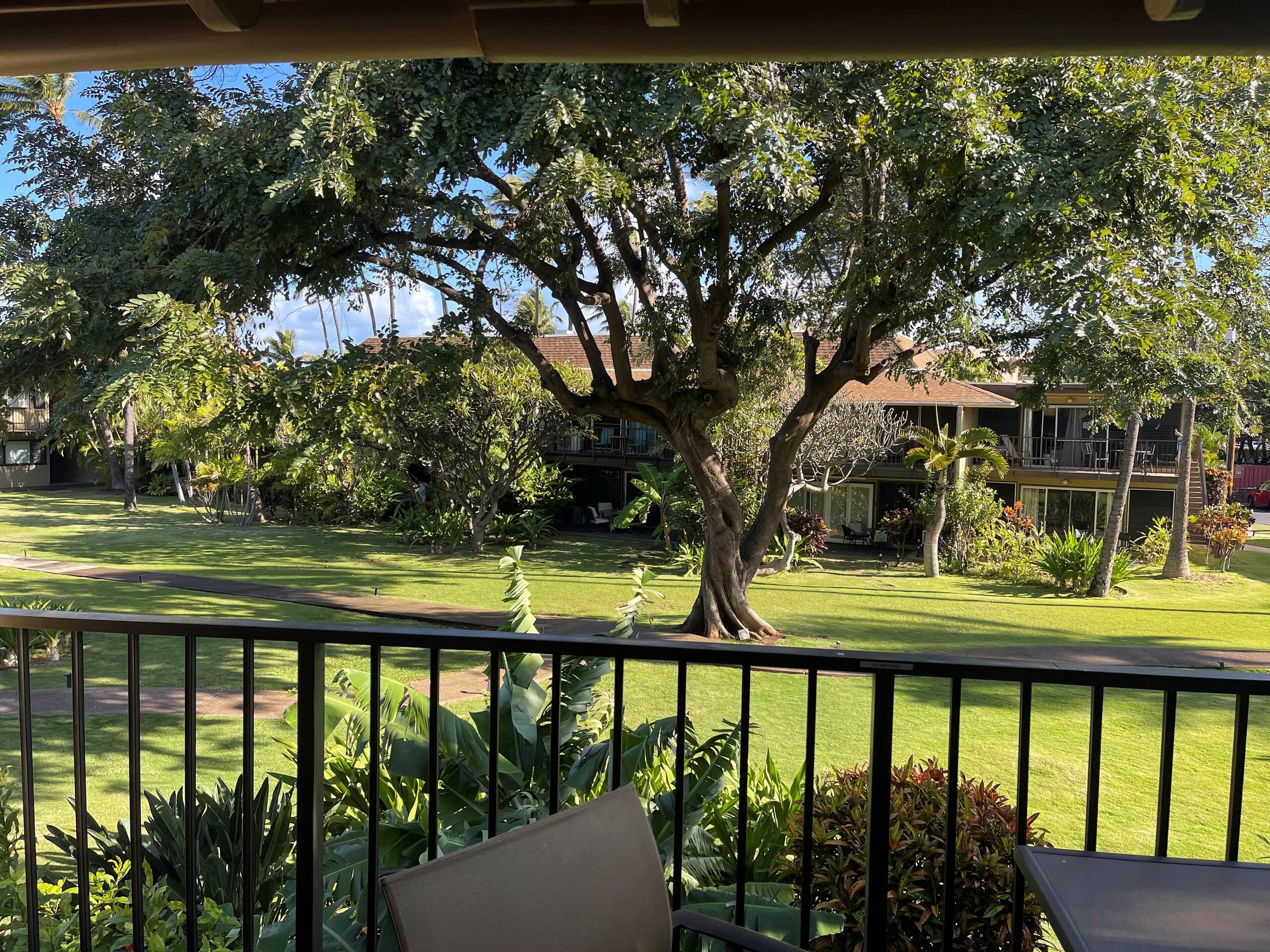 West Maui Ocean Front Condo - Photo 35