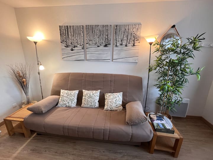 Jdl Confortable T2 Duplex 4p à 100m Des Pistes - Lus-la-Croix-Haute