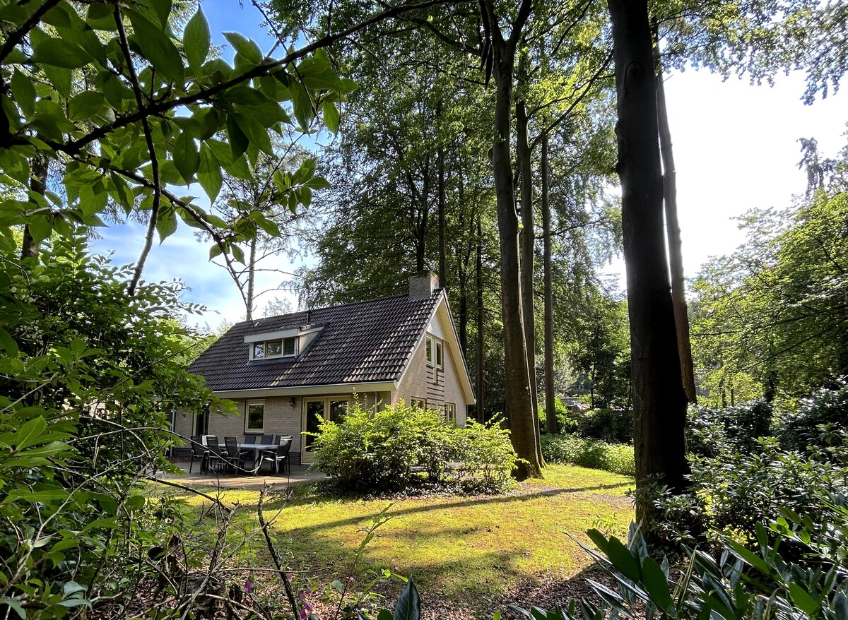 Top performing Airbnb: Detached bungalow on the Veluwe H5 in Wijk 57 Garderen