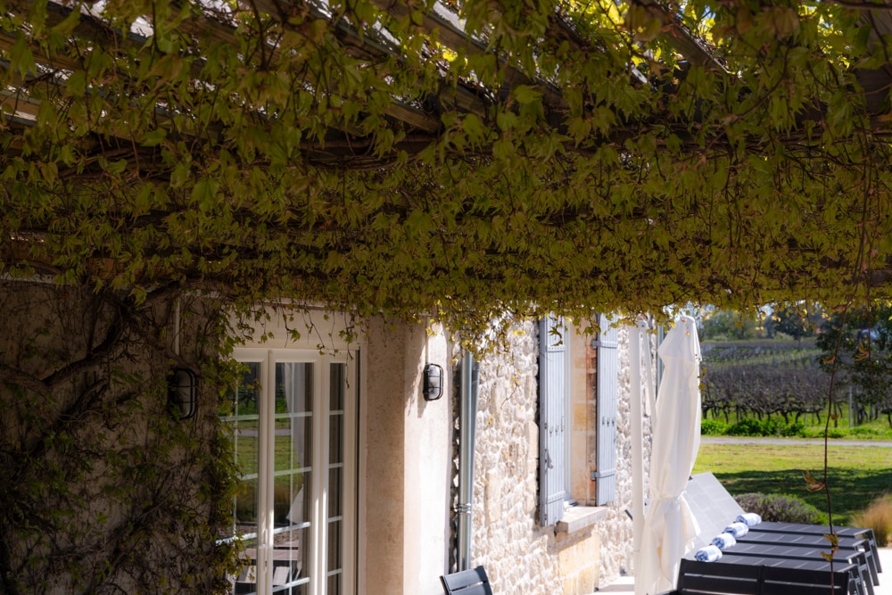 A covered outdoor terrace is adorned with climbing greenery, providing shade over a long dining table. Large glass doors lead into the nearby house, with vineyards visible in the background, enhancing the serene rural ambiance.