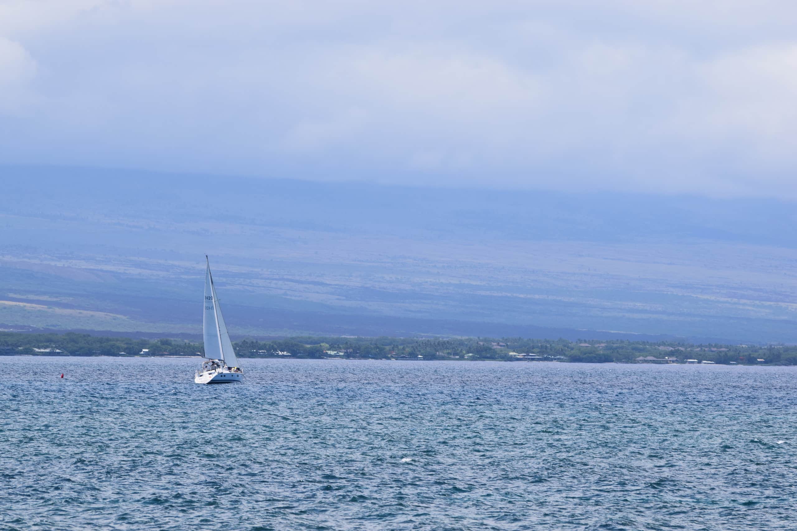 Entire House Peaceful retreat 4BR Waikoloa beach - Photo 80