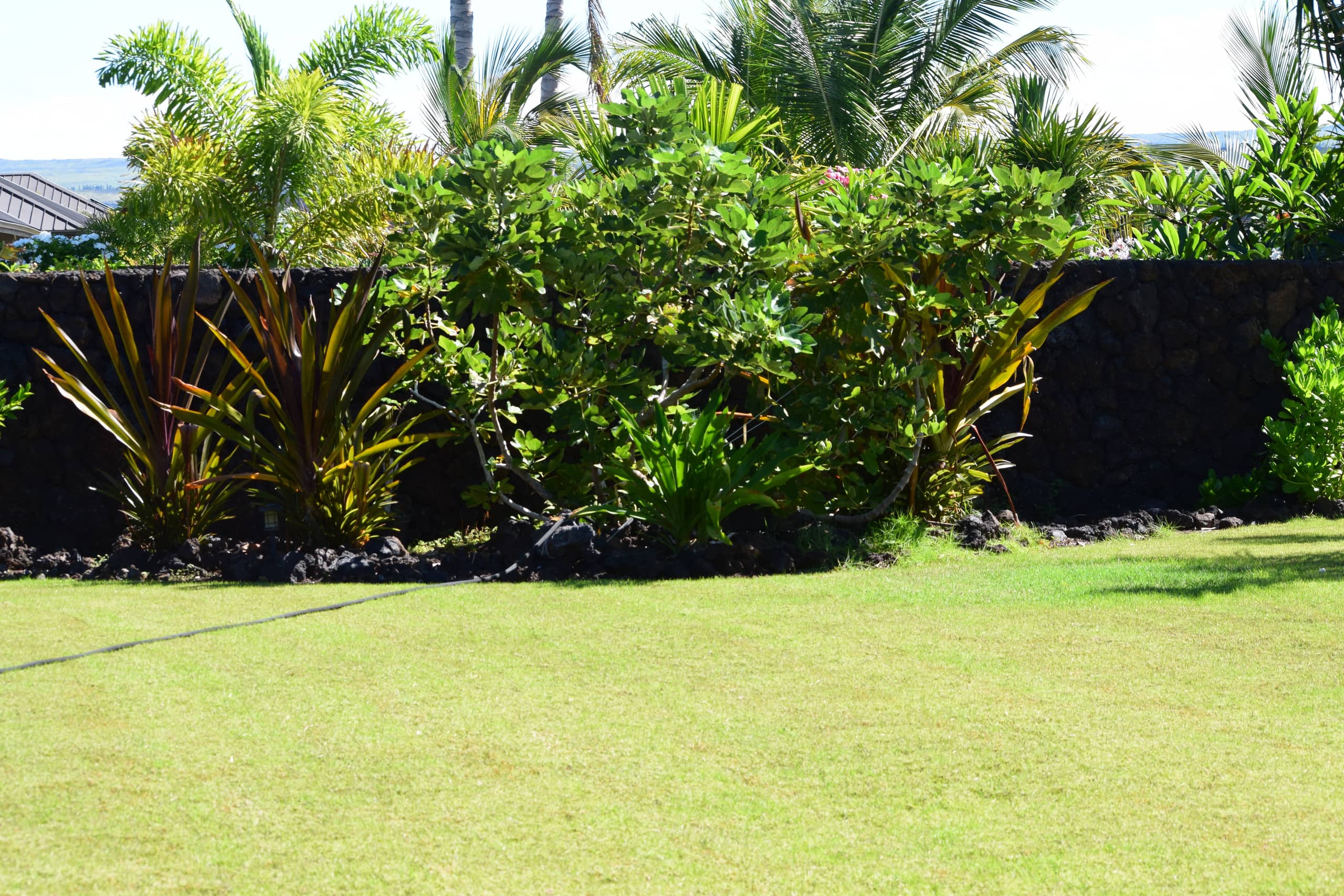 Entire House Peaceful retreat 4BR Waikoloa beach - Photo 38
