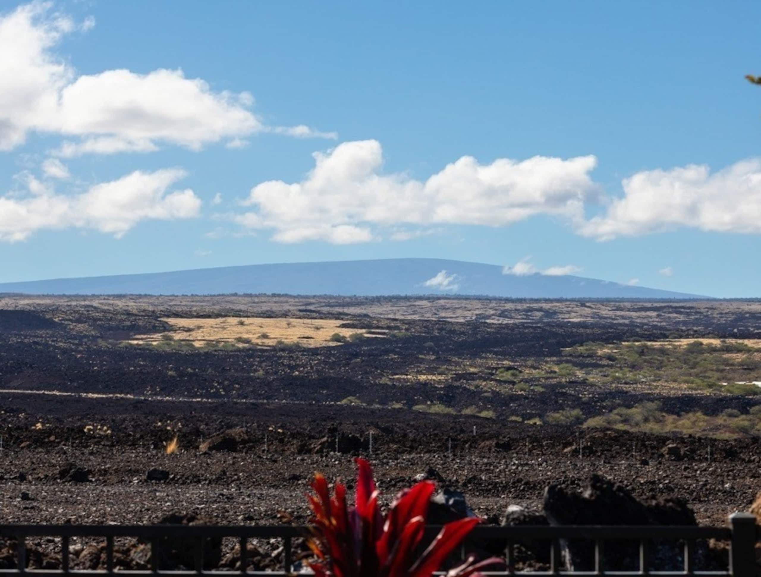 Entire House Peaceful retreat 4BR Waikoloa beach - Photo 40