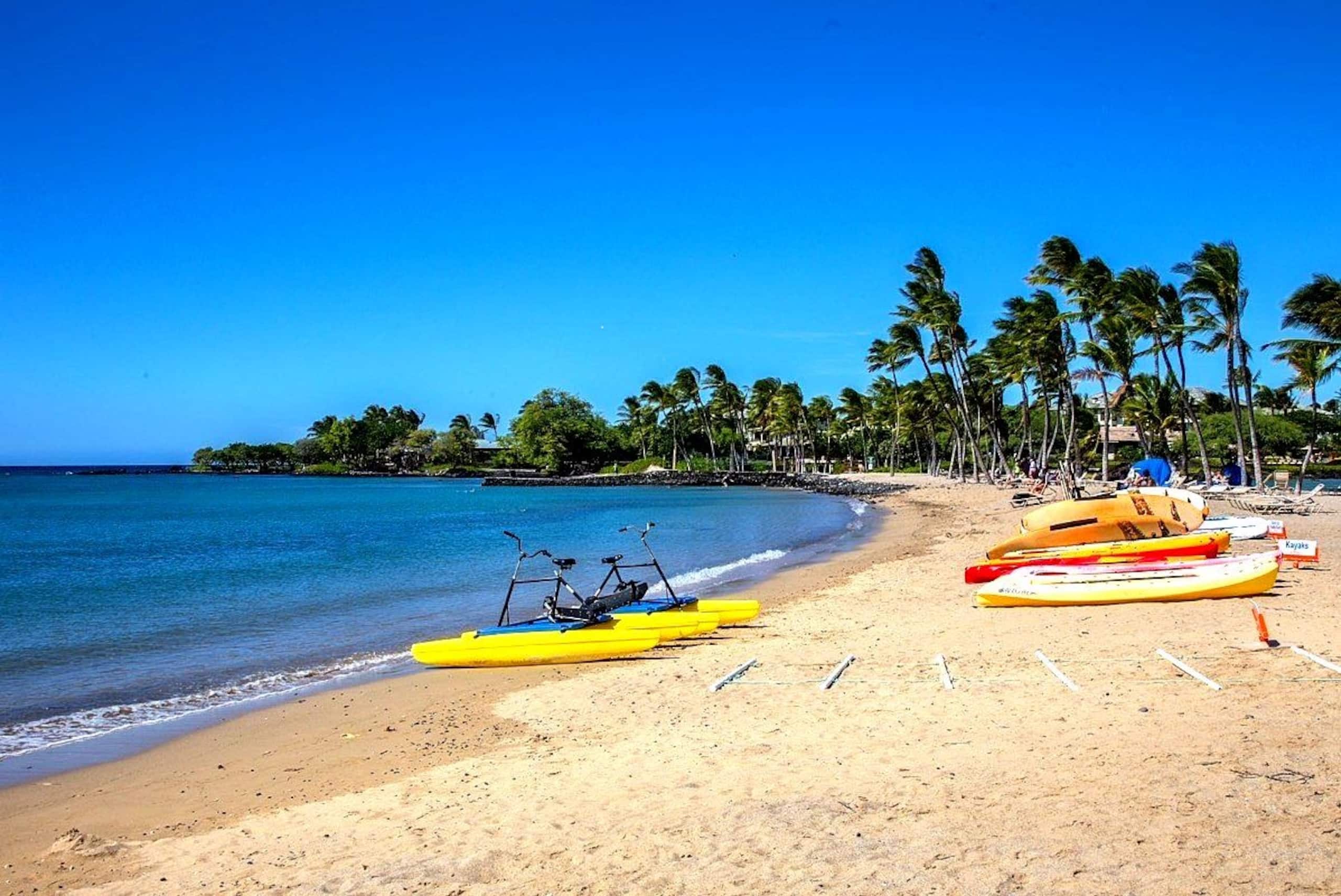 Entire House Peaceful retreat 4BR Waikoloa beach - Photo 70
