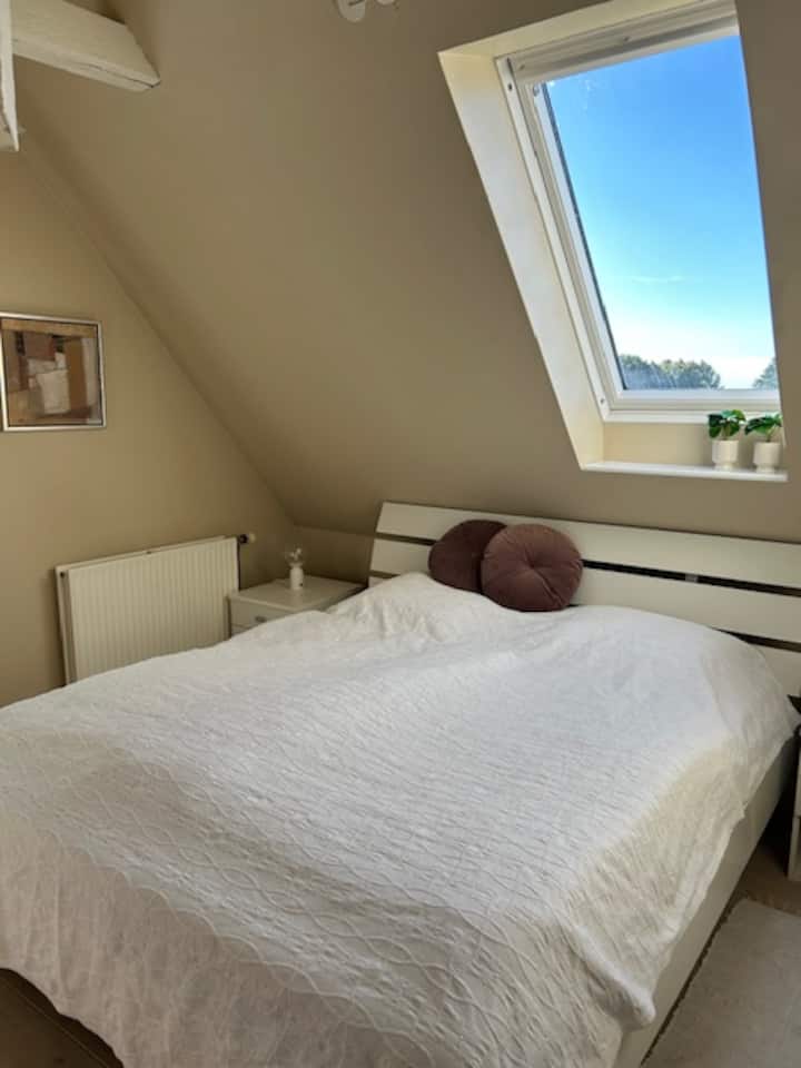 Her kan I ligge og se på stjernerne. 