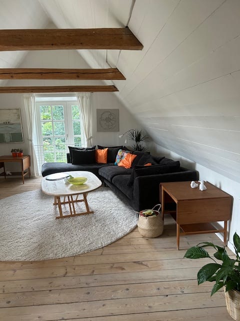 Popular Airbnb listing: Dyrekærhusets vacation apartment in Horsens