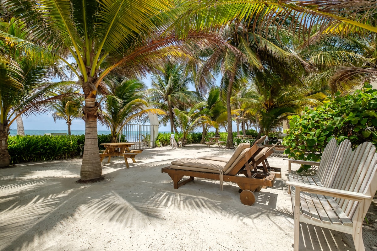 A serene outdoor space is revealed, featuring lounge chairs positioned on soft sand. Lush palm trees provide shade, with vibrant green vegetation in the background. The gentle waves of the ocean can be glimpsed beyond the palm fronds, enhancing the peaceful ambiance.