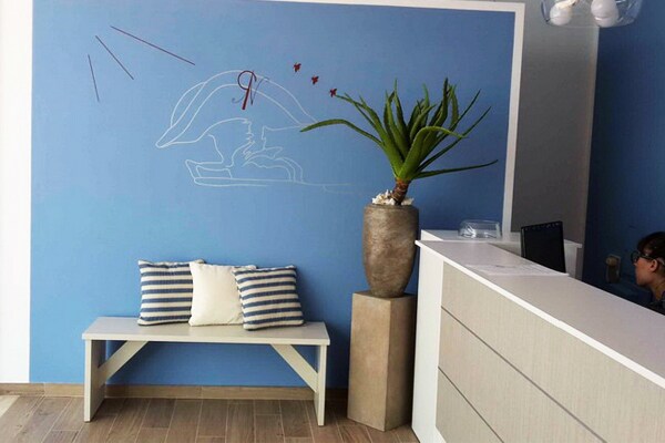 A reception area features a light blue wall with a simple line drawing of a dolphin and birds. A potted plant sits atop a decorative pedestal beside a white bench with striped cushions. A reception desk is visible, providing a welcoming entry point.