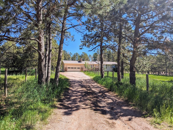 Black Forest Vacation Rentals & Homes Colorado, United States Airbnb