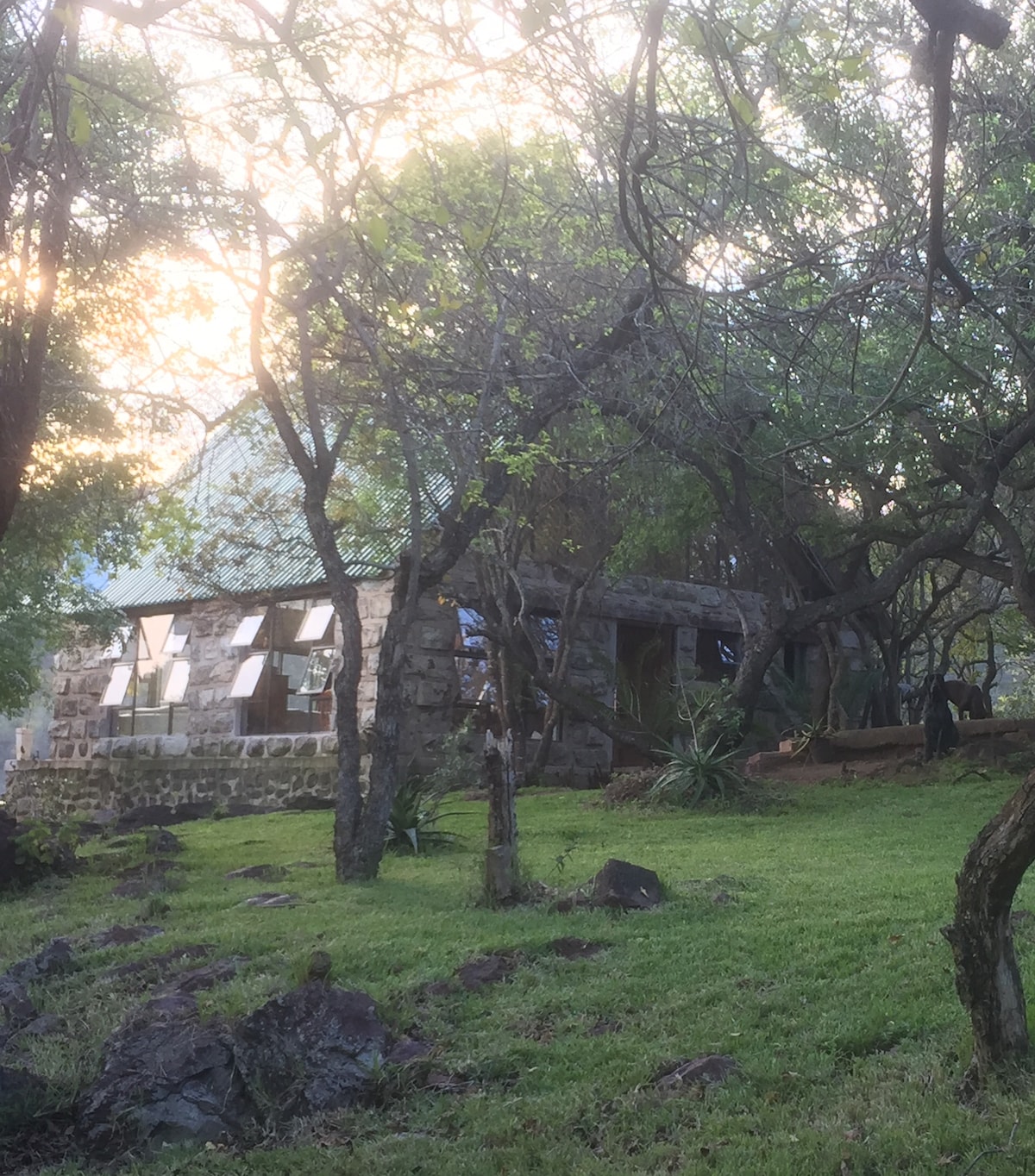 A rustic stone cottage is nestled among trees, featuring a sloped roof and multiple windows. Lush green grass surrounds the structure, with a few rocks and plants integrated into the landscape. Soft sunlight filters through the foliage, creating a serene outdoor environment.
