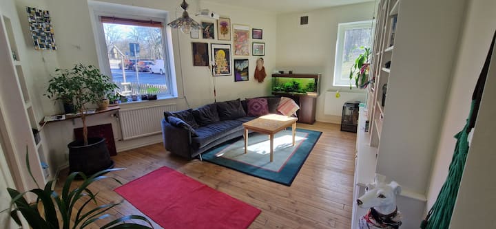 Large Flat In Front Of The Park - Göteborg