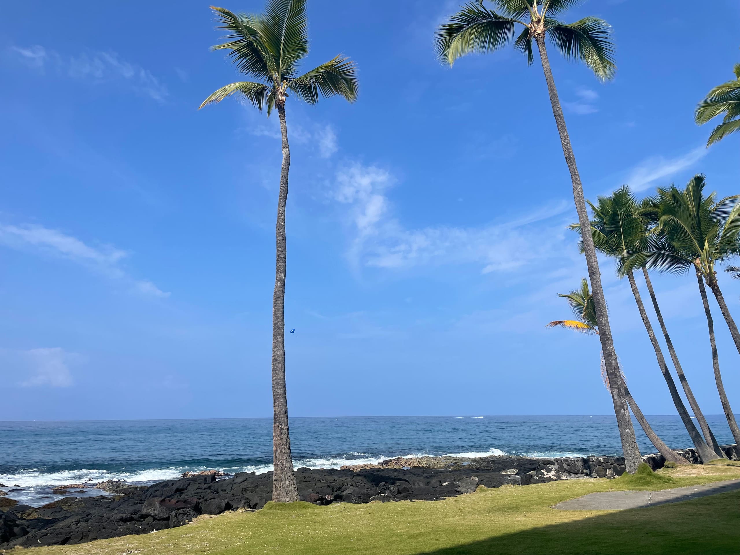 Condo in Kailua-Kona · ★4.87 · 1 bedroom · 2 beds · 1 bath - Image 1