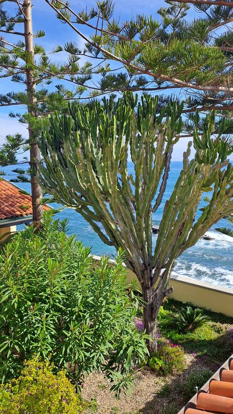 L'Angioletta, exclusive villa overlooking the sea