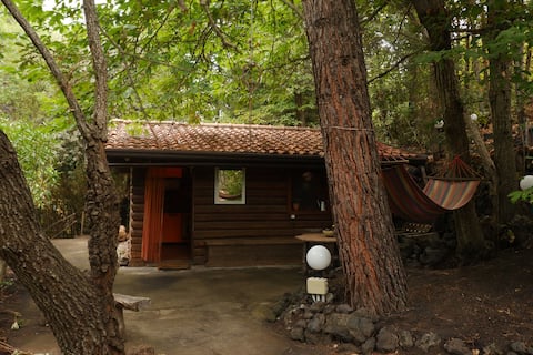 Cottage Etna Park with Jacuzzi