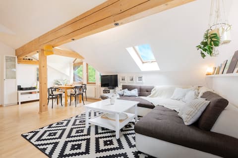 Cozy apartment in a green area