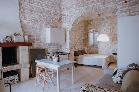 Entire apartment within walking distance of the castle