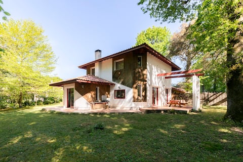 A large garden in the forest /Yuja garden