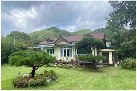 A pretty house with a yard (dogs allowed)