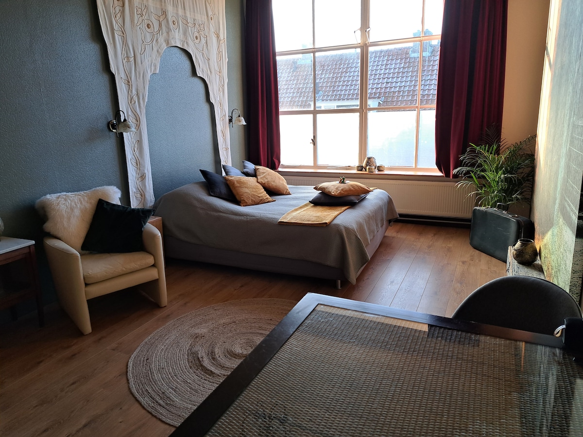 The room features a spacious bed adorned with decorative pillows, complemented by soft textiles. A cozy seating area includes an armchair and a round rug on warm wooden flooring. Natural light fills the space through large windows, which are framed by rich curtains.