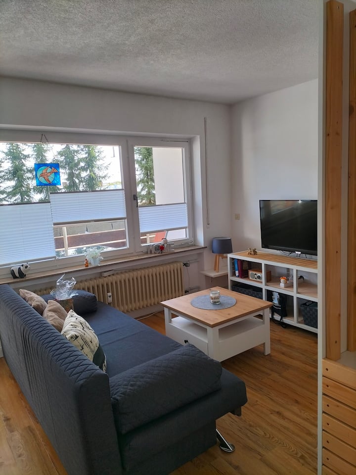 Schöne Kleine Ferienwohnung - Triberg
