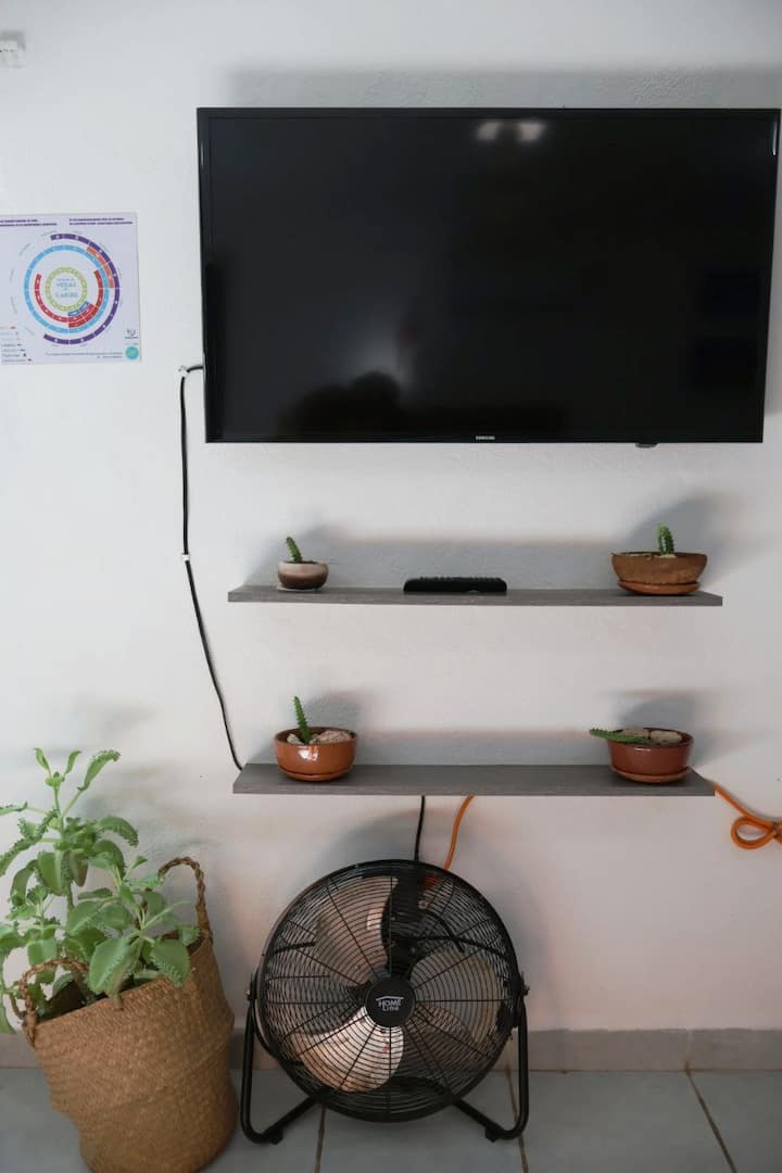 Studio On Downtown, Close Sea-wall - Cozumel
