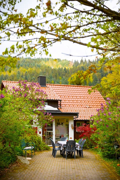 Zwergenstübchen vacation home - Vacation in the Black Forest