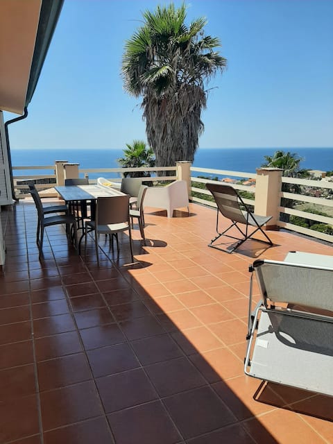 In the nest of the raptors