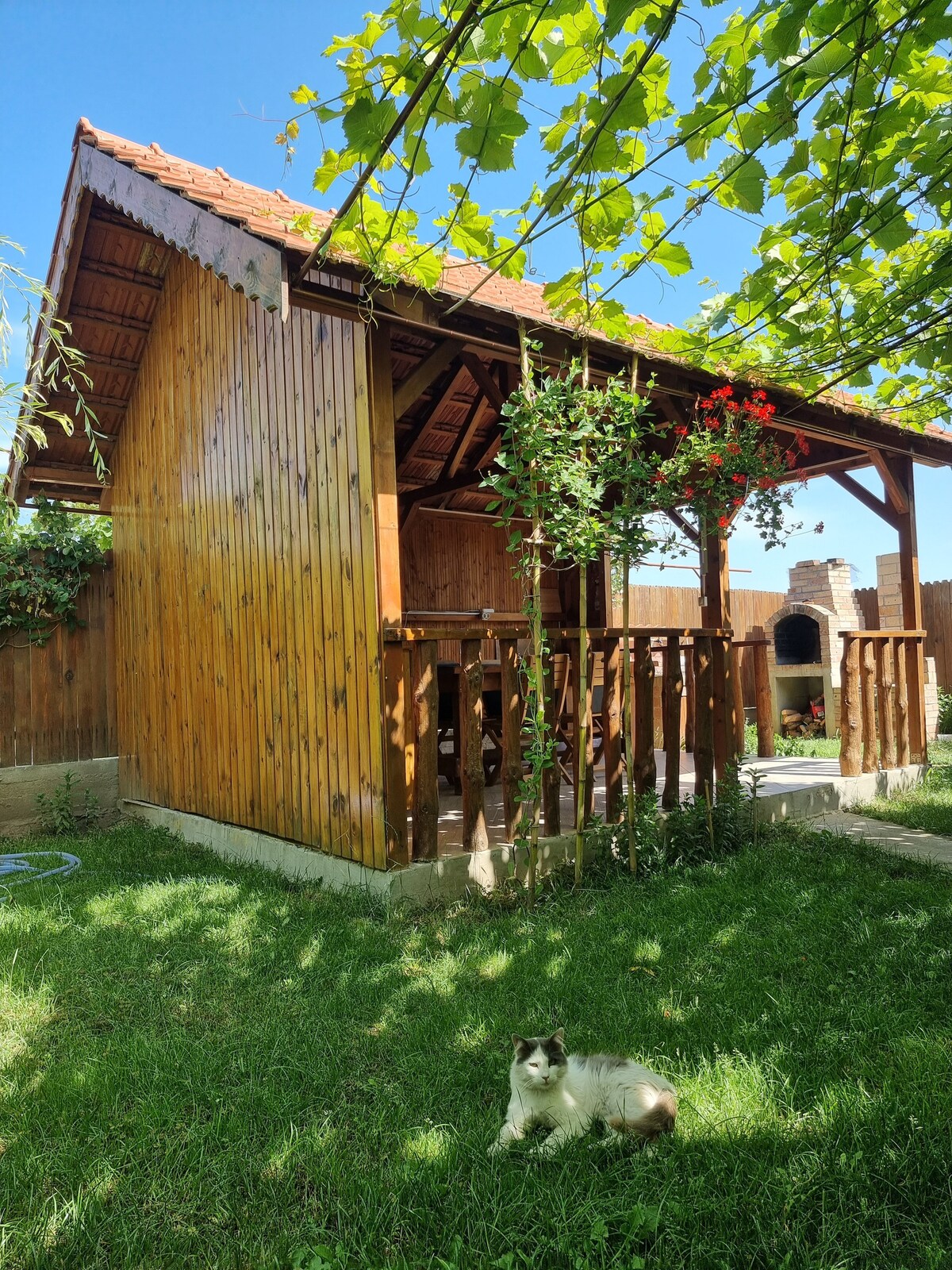 A charming wooden cabin is surrounded by lush green grass and climbing vines. The structure features a sloped roof and a welcoming porch. A cat rests contentedly in front of the cabin, adding to the serene ambiance of the outdoor space.