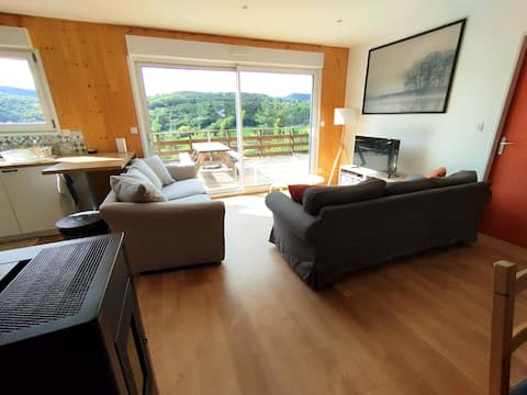 Chalet in the heart of the quiet and greenery of the Sancy