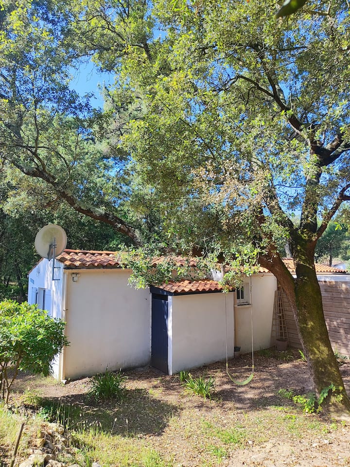 Maison Au Coeur De La Forêt Domaniale Et à 600m De La Plage - Île d'Oléron
