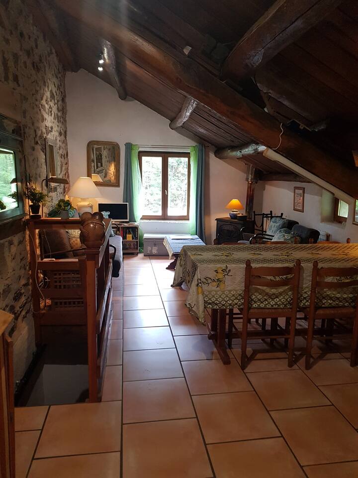Gite Figuier à La Ferme - Saint-Pons-de-Thomières