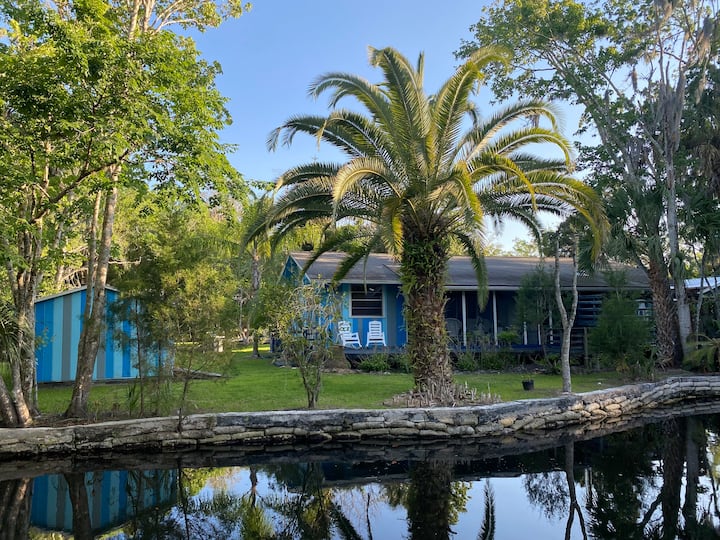 The Creek! Waterfront Old Homosassa. - Homosassa, FL