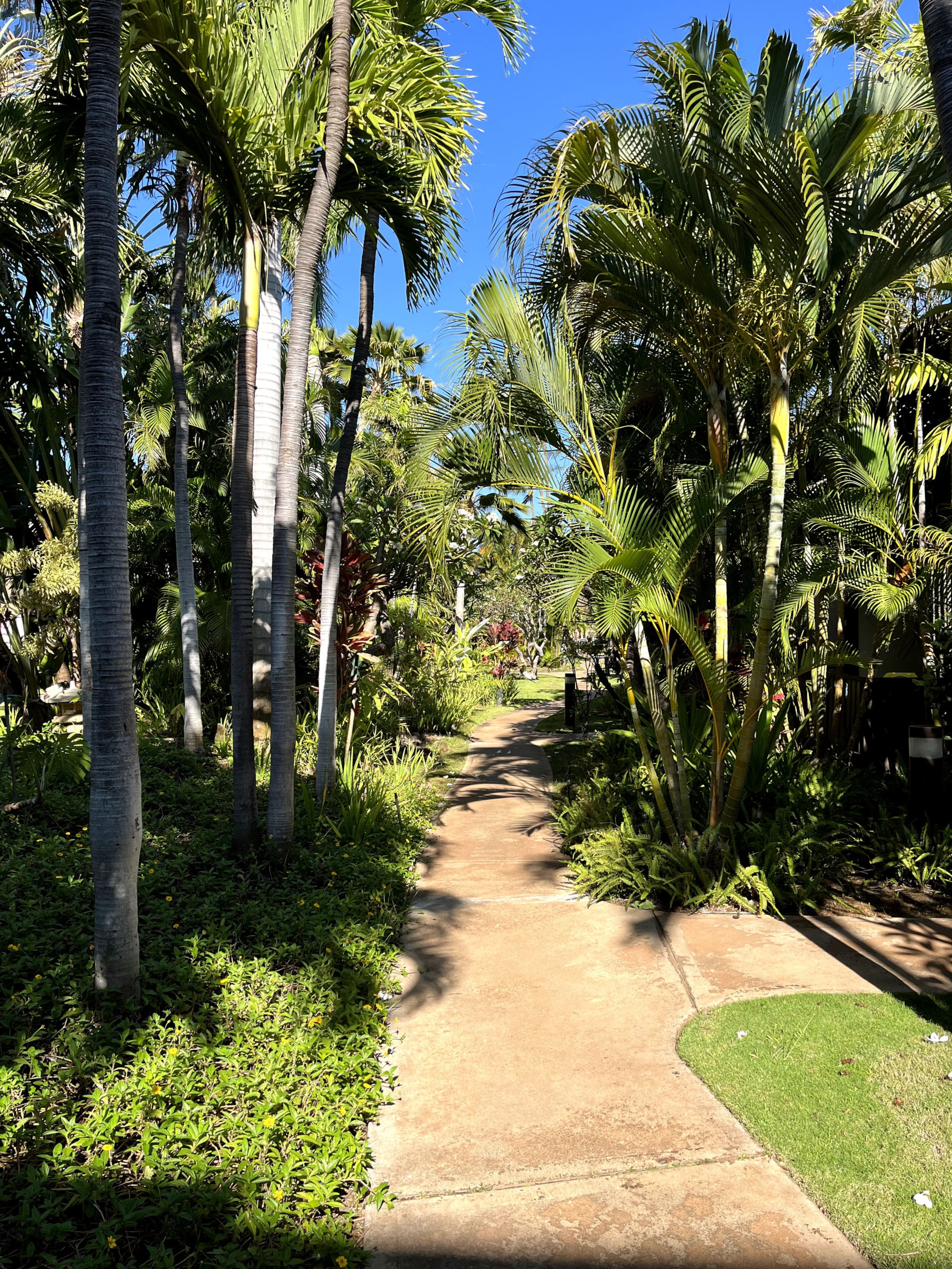 Condo in Kihei · ★4.97 · 1 bedroom · 2 beds · 1 shared bath - Image 57