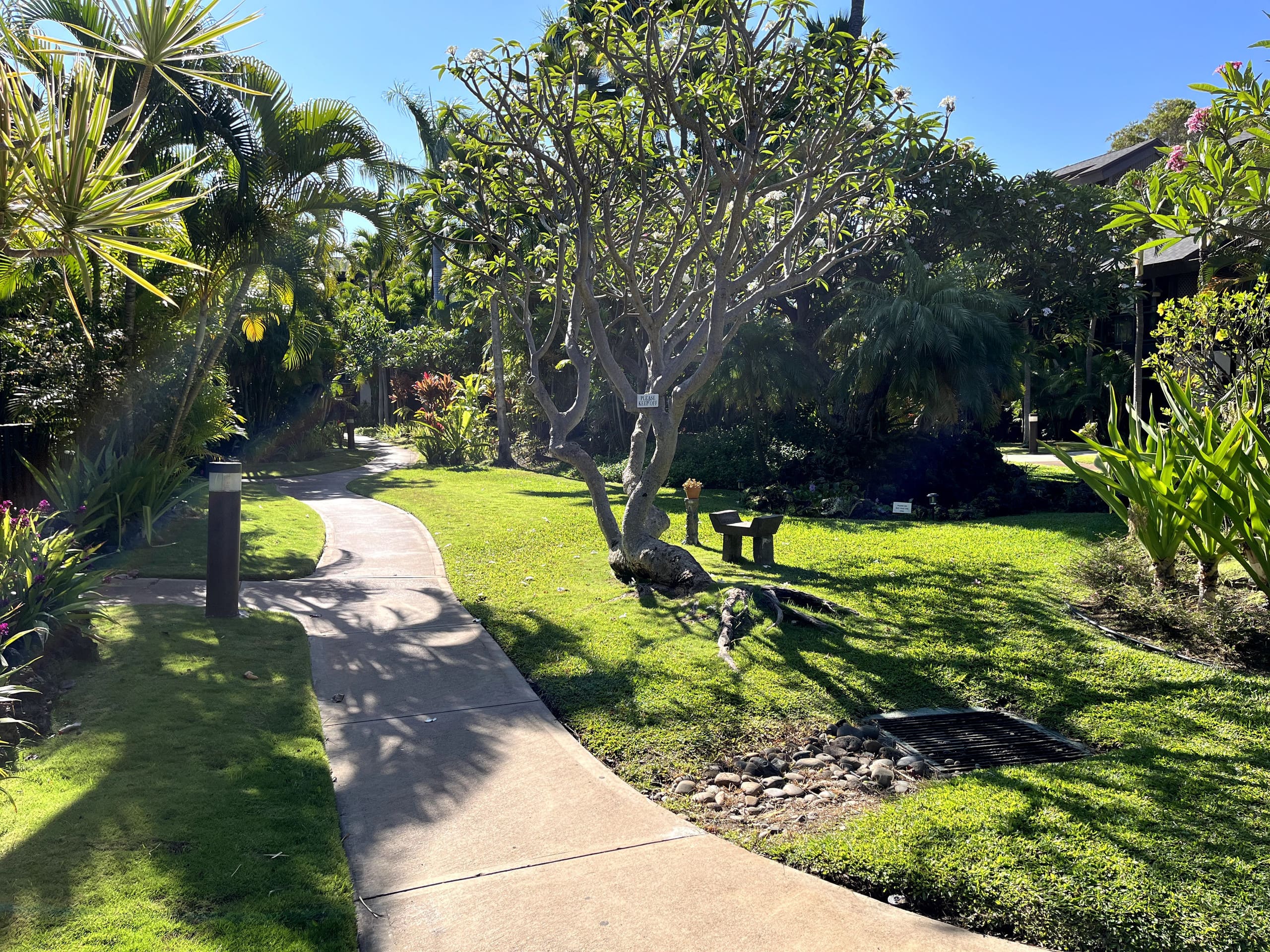 Condo in Kihei · ★4.97 · 1 bedroom · 2 beds · 1 shared bath - Image 42
