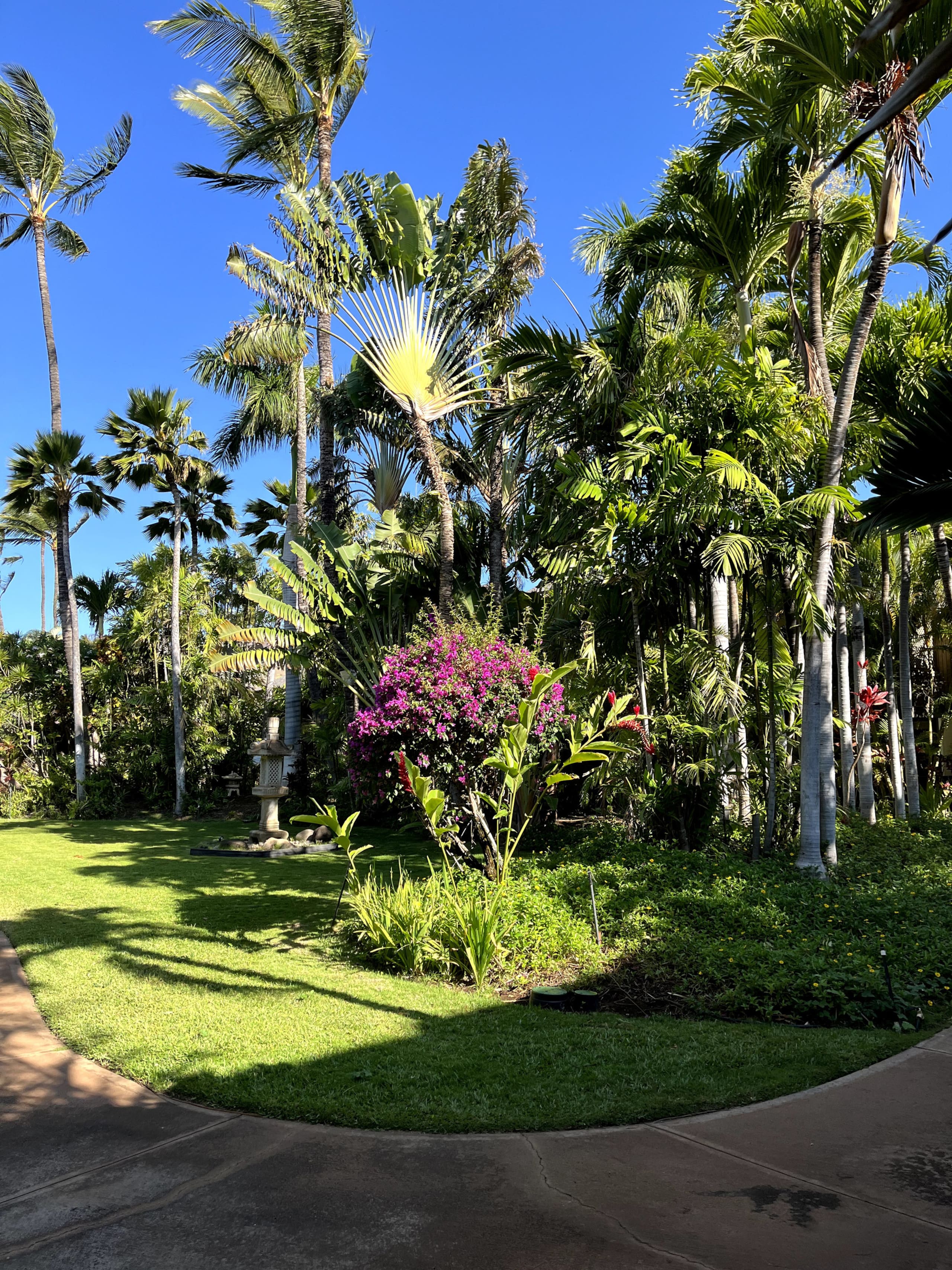 Condo in Kihei · ★4.97 · 1 bedroom · 2 beds · 1 shared bath - Image 53