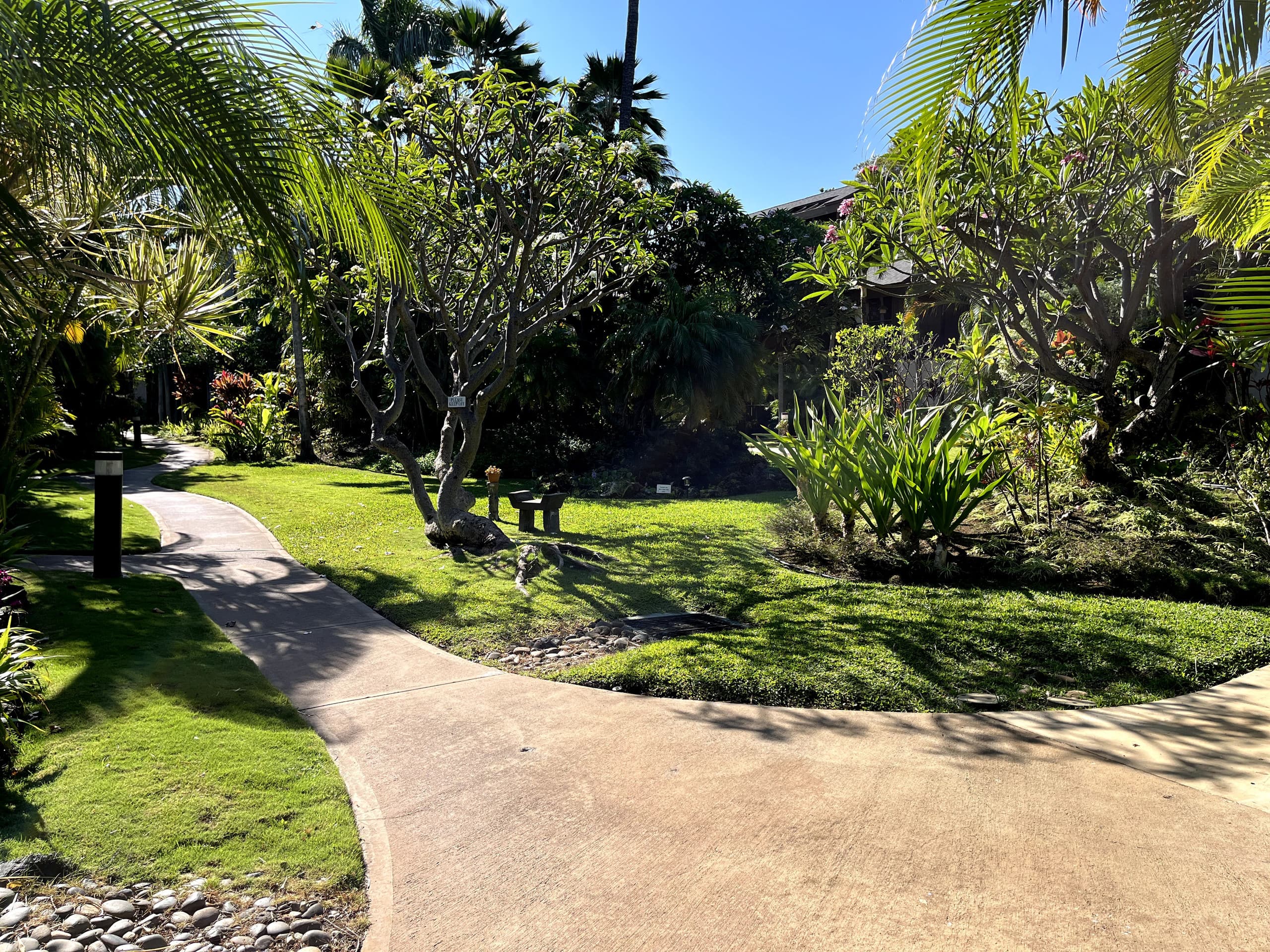 Condo in Kihei · ★4.97 · 1 bedroom · 2 beds · 1 shared bath - Image 41