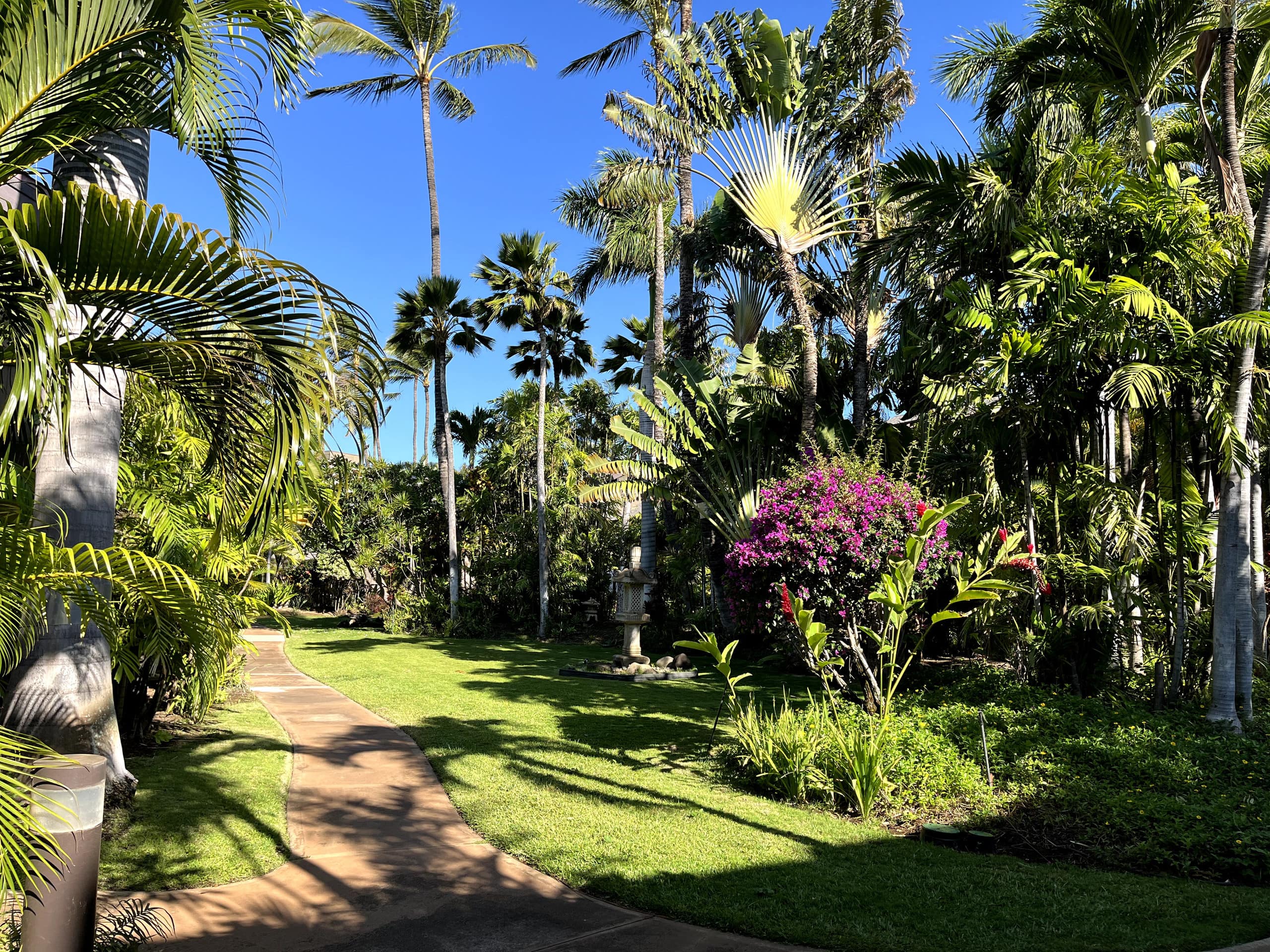 Condo in Kihei · ★4.97 · 1 bedroom · 2 beds · 1 shared bath - Image 49