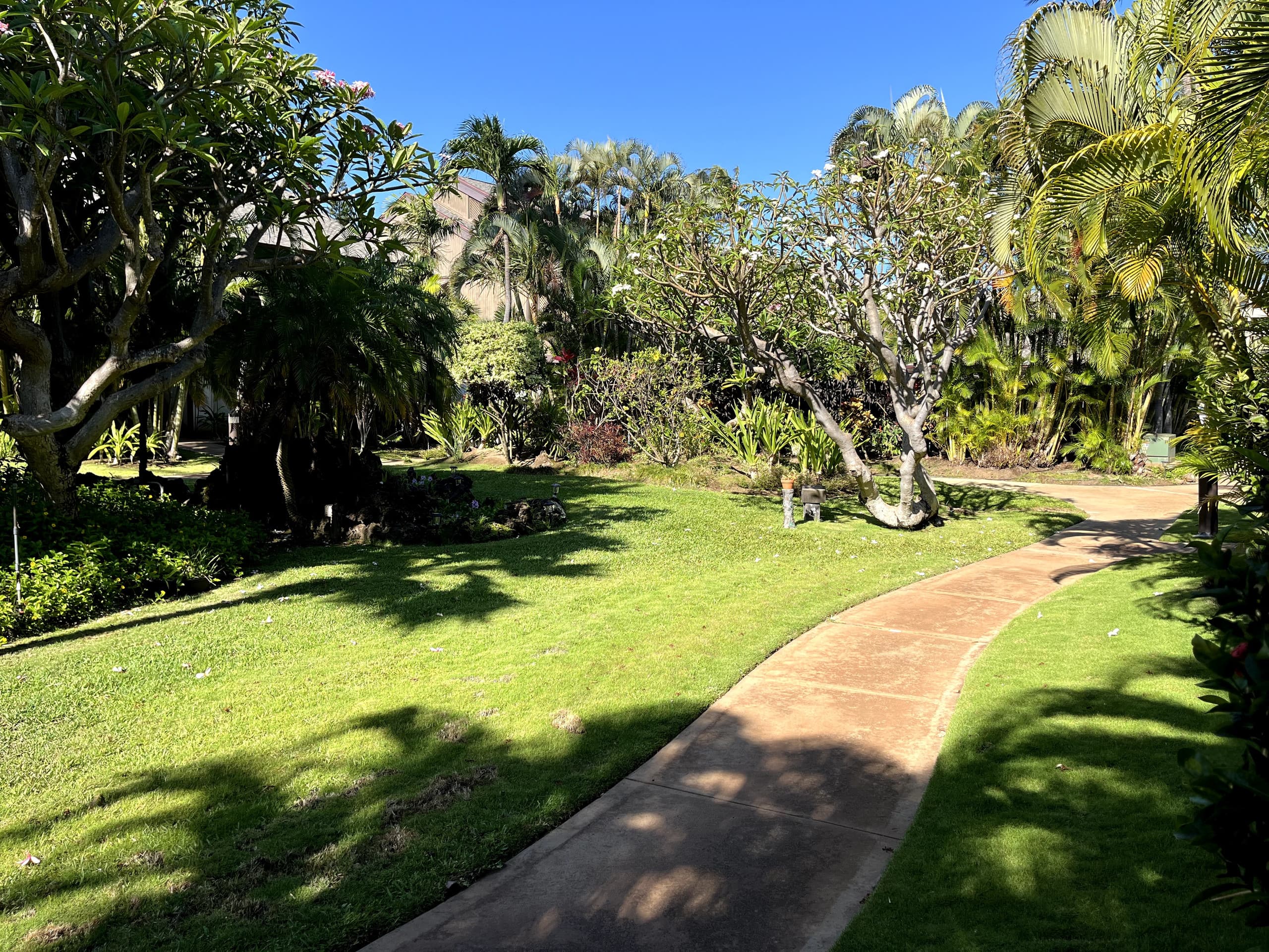 Condo in Kihei · ★4.97 · 1 bedroom · 2 beds · 1 shared bath - Image 40