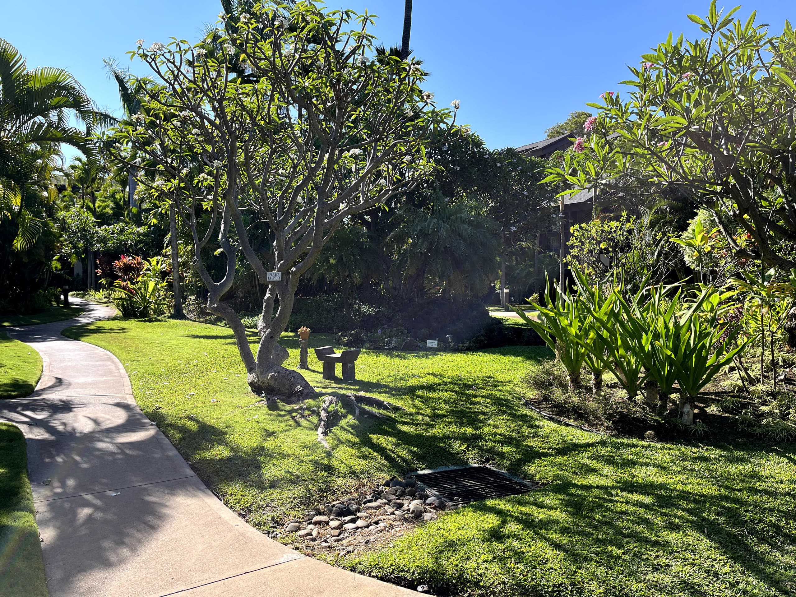 Condo in Kihei · ★4.97 · 1 bedroom · 2 beds · 1 shared bath - Image 48