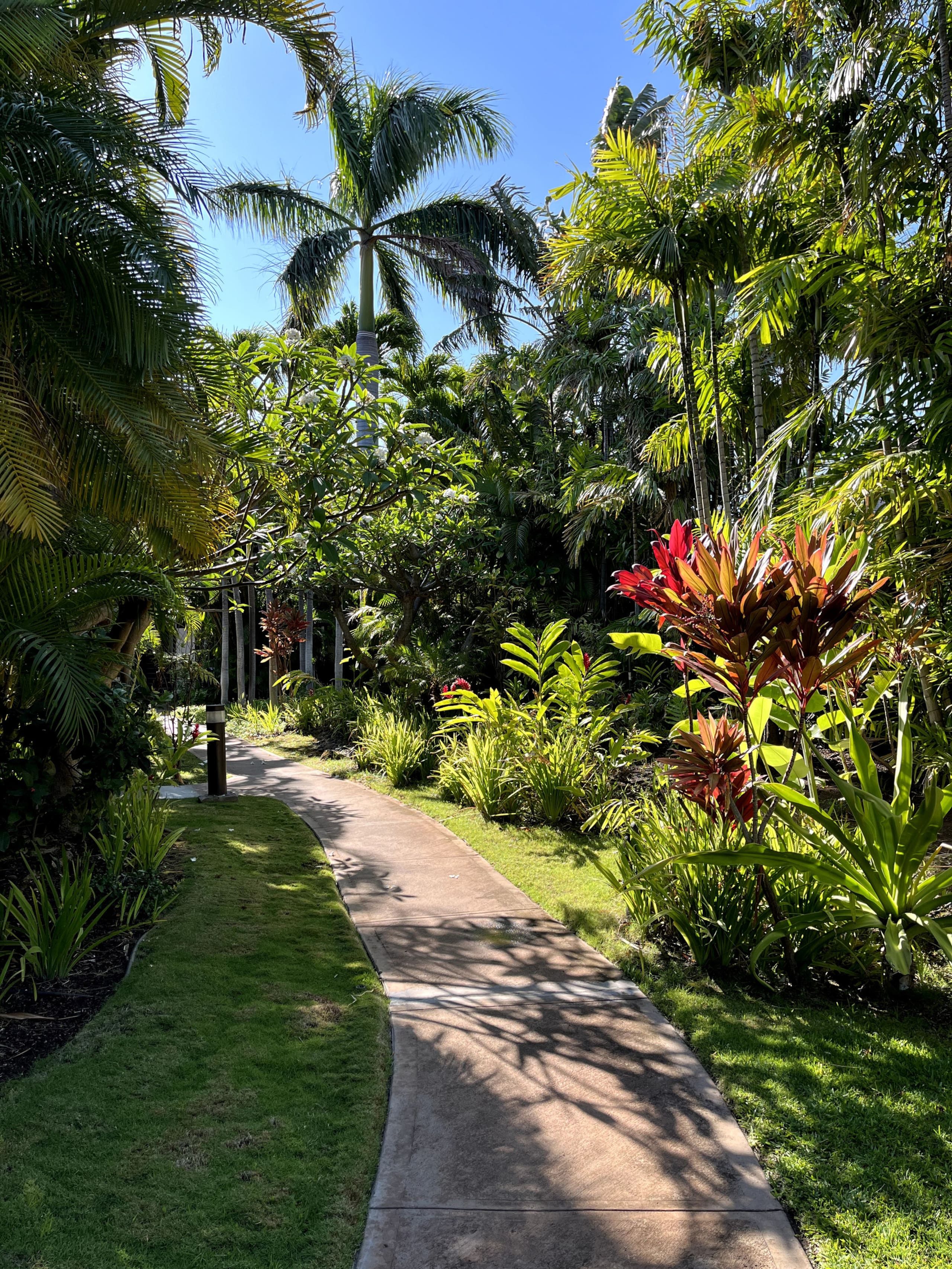 Condo in Kihei · ★4.97 · 1 bedroom · 2 beds · 1 shared bath - Image 39